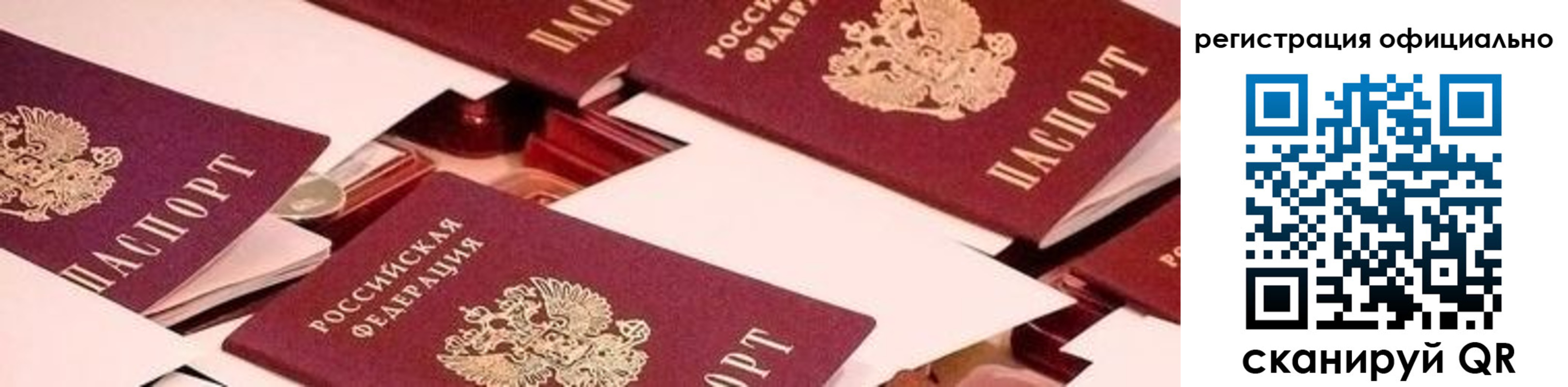 прописка для школы в Вязьме